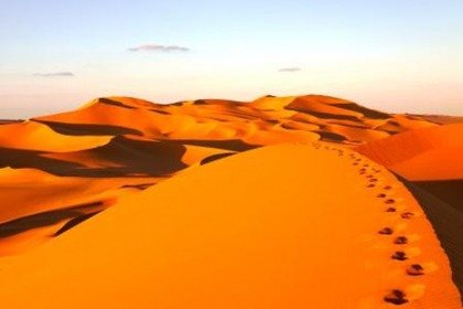 Day 03: Sur Tour - Wahiba sands