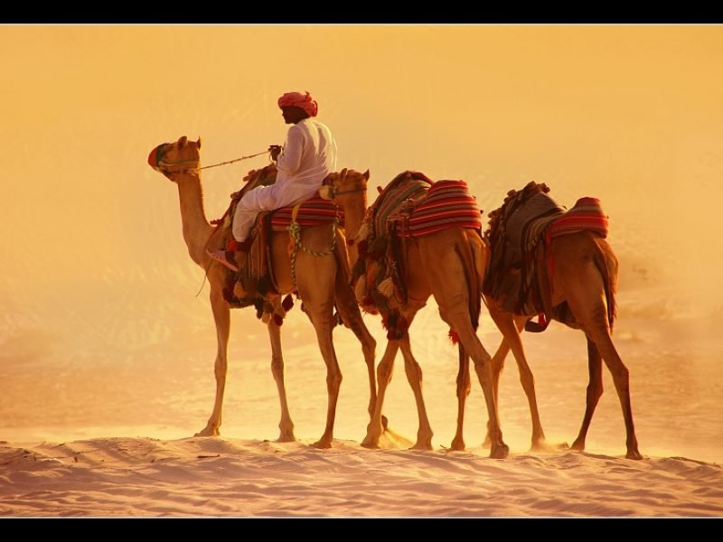 qatar-tours-packages
