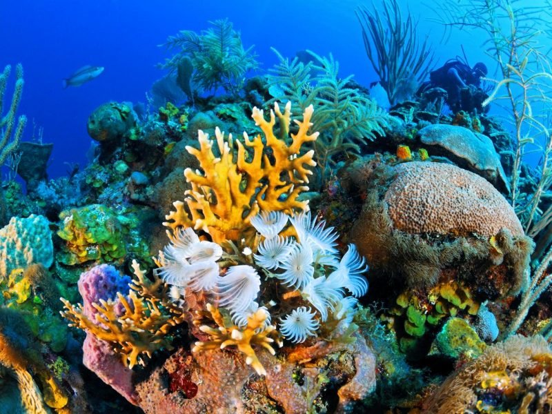 Travel to Sharm el sheikh