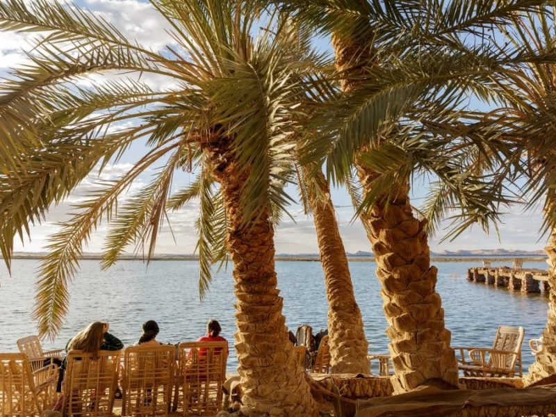 egypt desert oasis tour
