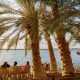 egypt desert oasis tour