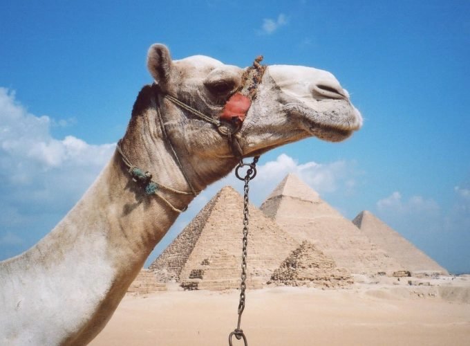 Shore Excursions from Alexandria Port